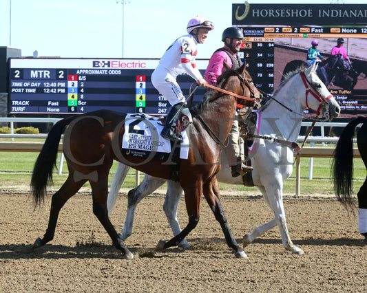 E’s Magic - Gary Patrick Overnight Handicap 10-26-24 R02 Horseshoe Indiana Post Parade 01