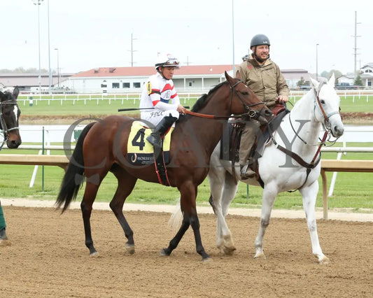 E’S MAGIC - The Kim Hammond Overnight Handicap - 10-25-25 - R06 - Horseshoe Indiana - Post Parade -Devin Hall Indiana