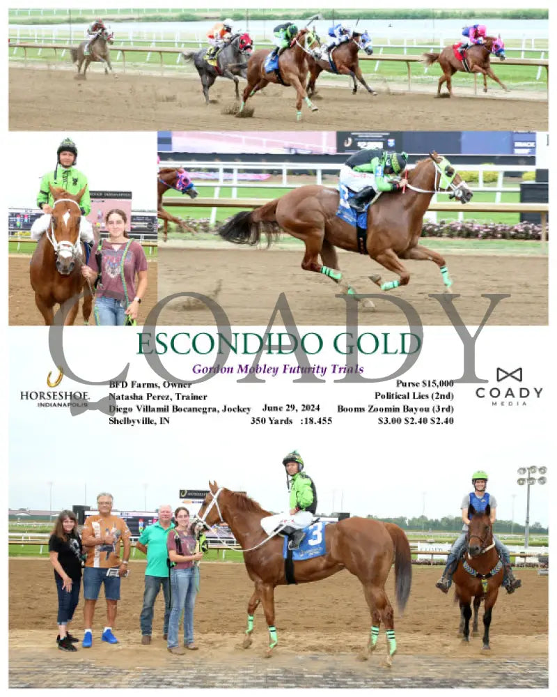 Escondido Gold - Gordon Mobley Futurity Trials 06-29-24 R07 Ind Indiana Grand