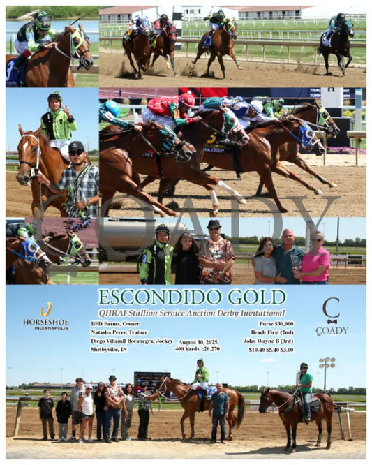 ESCONDIDO GOLD QHRAI Stallion Service Auction Derby Invitational 08 30 25 R06 IND Indiana Grand