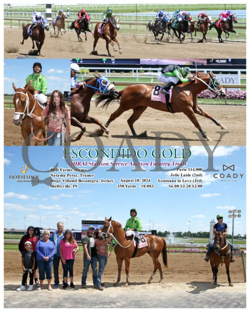 Escondido Gold - Qhrai Stallion Service Auction Futurity Trials 08-10-24 R07 Ind Indiana Grand