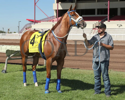 Especially Goodcandy - All American Quarter Horse Oaks 09-02-24 R09 The Downs At Albuquerque 004
