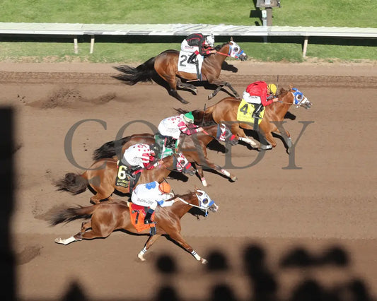 Especially Goodcandy - All American Quarter Horse Oaks 09-02-24 R09 The Downs At Albuquerque Aerial