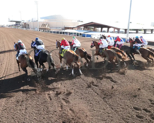 Especially Goodcandy - All American Quarter Horse Oaks 09-02-24 R09 The Downs At Albuquerque Gate