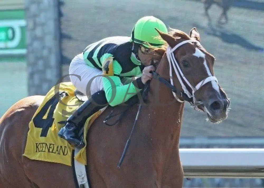 Euronfire - 2 102911 Race 01 Keeneland