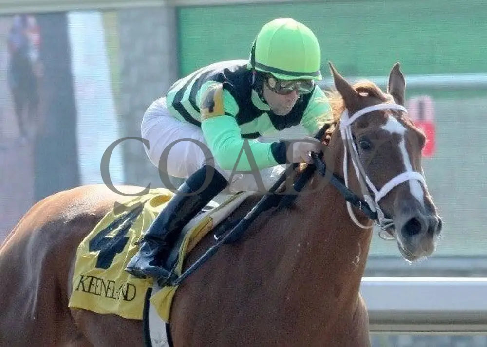 Euronfire - 4 102911 Race 01 Keeneland