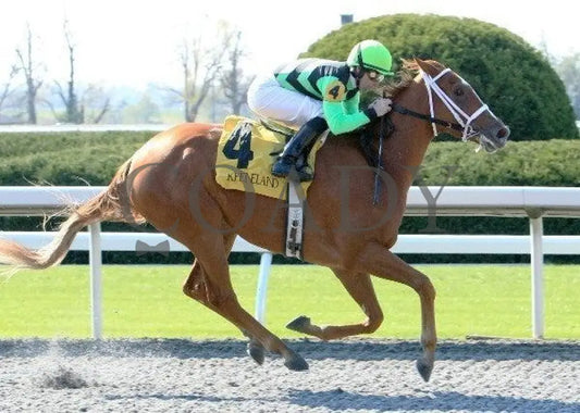 Euronfire - 6 102911 Race 01 Keeneland