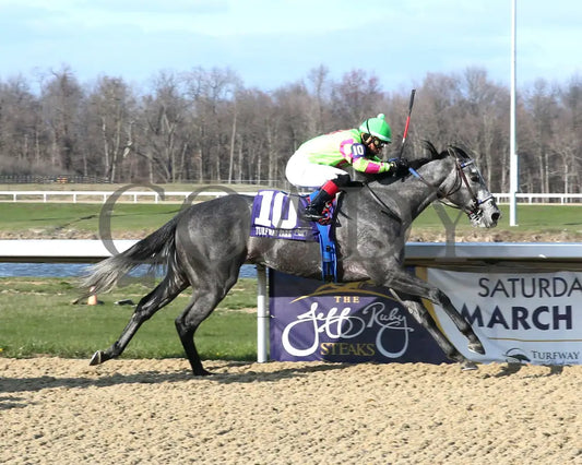 Everland - The Bourbonette Oaks 42Nd Running 03 - 23 - 24 R11 Turfway Park Finish 01 Sammantha