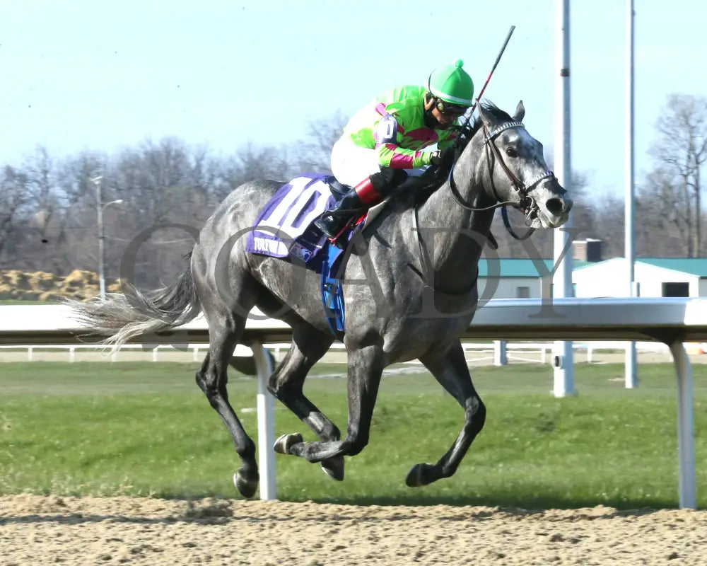 Everland - The Bourbonette Oaks 42Nd Running 03 - 23 - 24 R11 Turfway Park Finish 02 Paige West