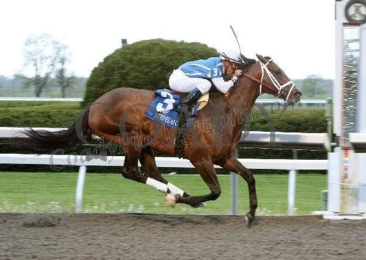 Exhi - The Ben Ali Gr Iii 81St Running Keeneland
