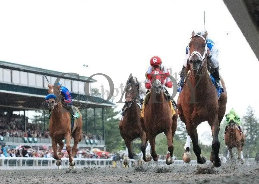 Exhi - The Ben Ali Gr Iii Keeneland