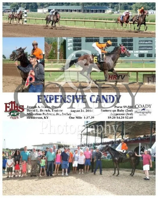 Expensive Candy - 082414 Race 07 Elp Ellis Park