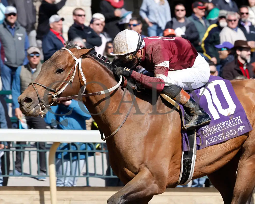 EXTRA ANEJO - The Commonwealth G3 - 04-08-25 - R07 - KEE - Inside Finish 01 Keeneland
