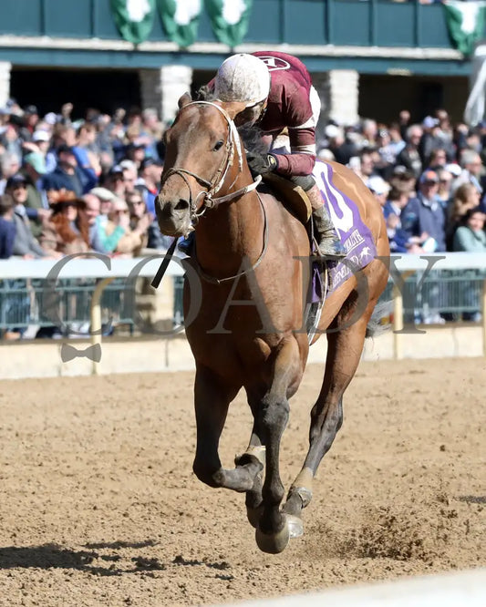 EXTRA ANEJO - The Commonwealth G3 - 04-08-25 - R07 - KEE - Inside Finish 02 Keeneland