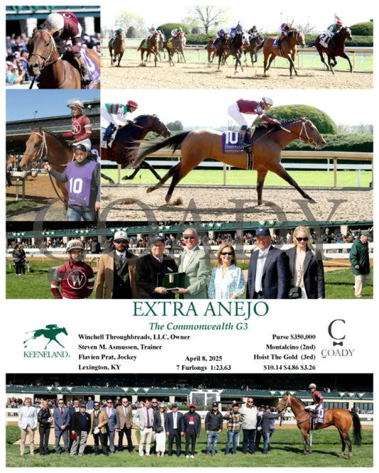 EXTRA ANEJO - The Commonwealth G3 - 04-08-25 - R07 - KEE Keeneland