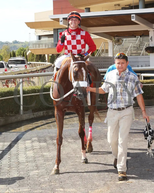 Factismflashy - 092024 Race 05 Btp The Miss Southern Ohio Stakes Comeback01 Belterra Park