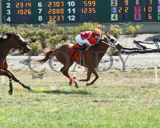 Factismflashy - 092024 Race 05 Btp The Miss Southern Ohio Stakes Finish01 Belterra Park