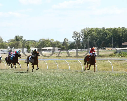 Factismflashy - 092024 Race 05 Btp The Miss Southern Ohio Stakes Up The Track01 Belterra Park