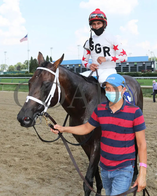 Factor This - The Wise Dan 31St Running 06-20-20 R09 Cd Come Back 01 Churchill Downs