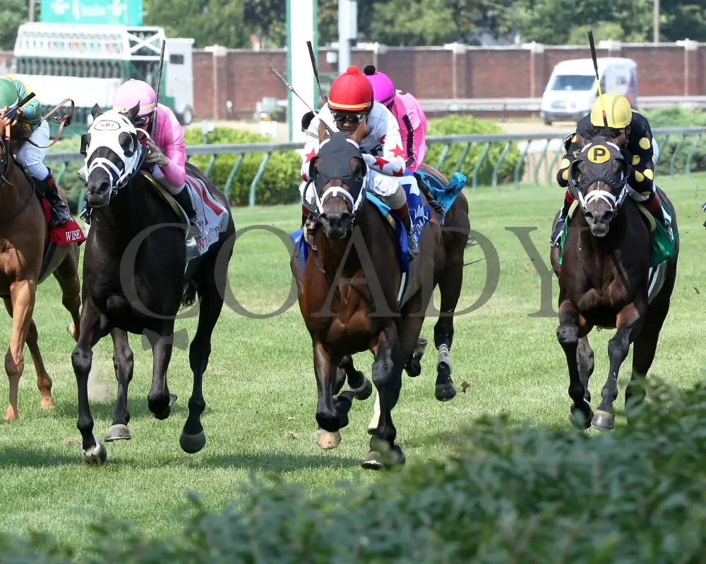 Factor This - The Wise Dan 31St Running 06-20-20 R09 Cd Inside Finish 01 Churchill Downs