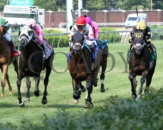 Factor This - The Wise Dan 31St Running 06-20-20 R09 Cd Inside Finish 01 Churchill Downs