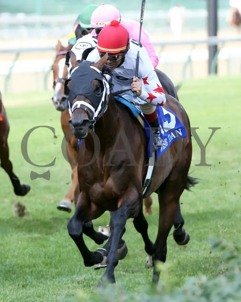 Factor This - The Wise Dan 31St Running 06-20-20 R09 Cd Inside Finish 02 Churchill Downs