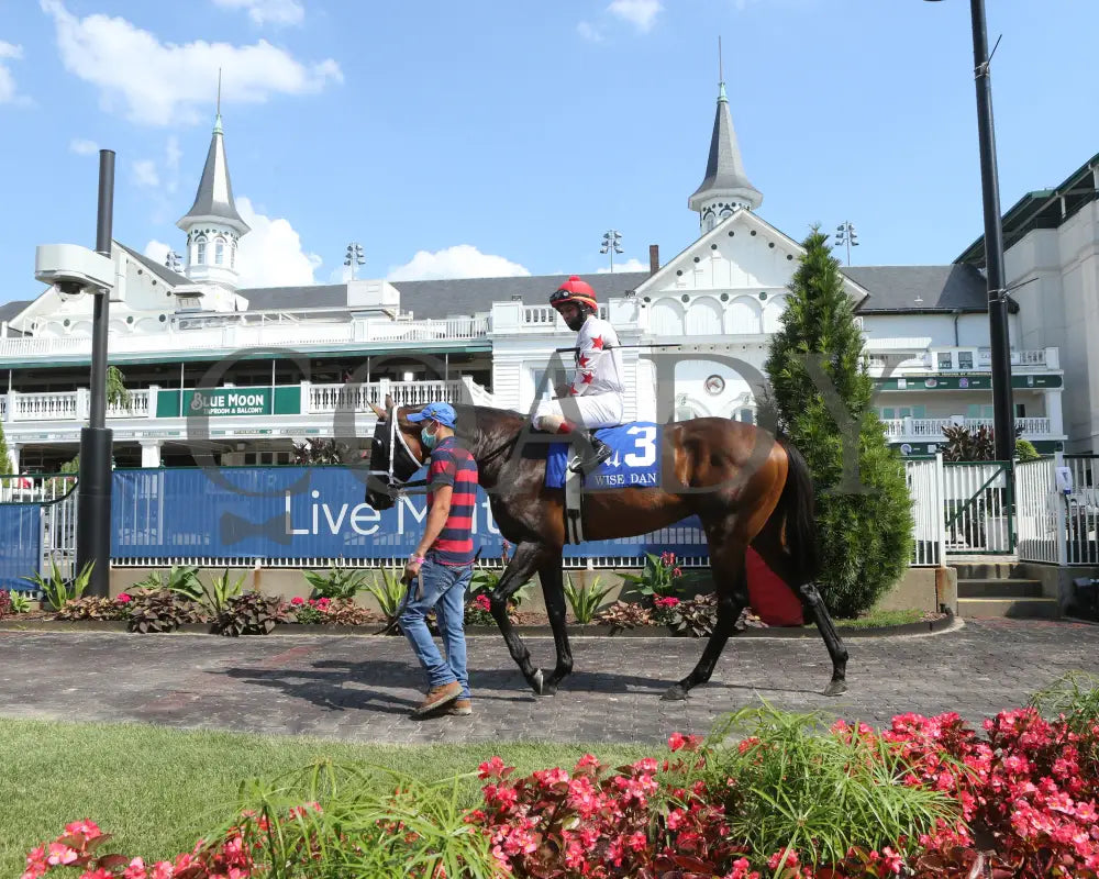 Factor This - The Wise Dan 31St Running 06-20-20 R09 Cd Paddock 01 Churchill Downs