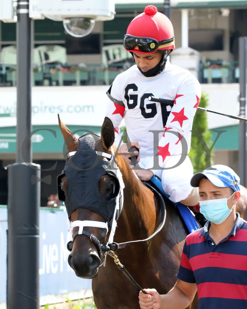 Factor This - The Wise Dan 31St Running 06-20-20 R09 Cd Paddock 02 Churchill Downs
