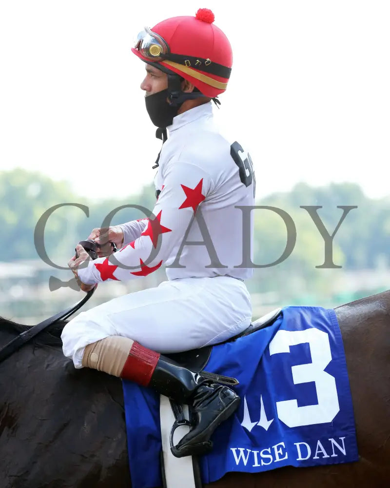 Factor This - The Wise Dan 31St Running 06-20-20 R09 Cd Post Race 02 Churchill Downs