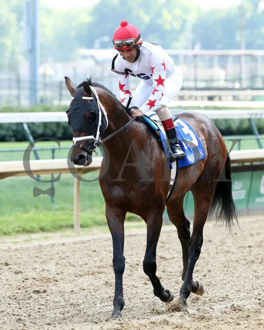 Factor This - The Wise Dan 31St Running 06-20-20 R09 Cd Post Race 03 Churchill Downs