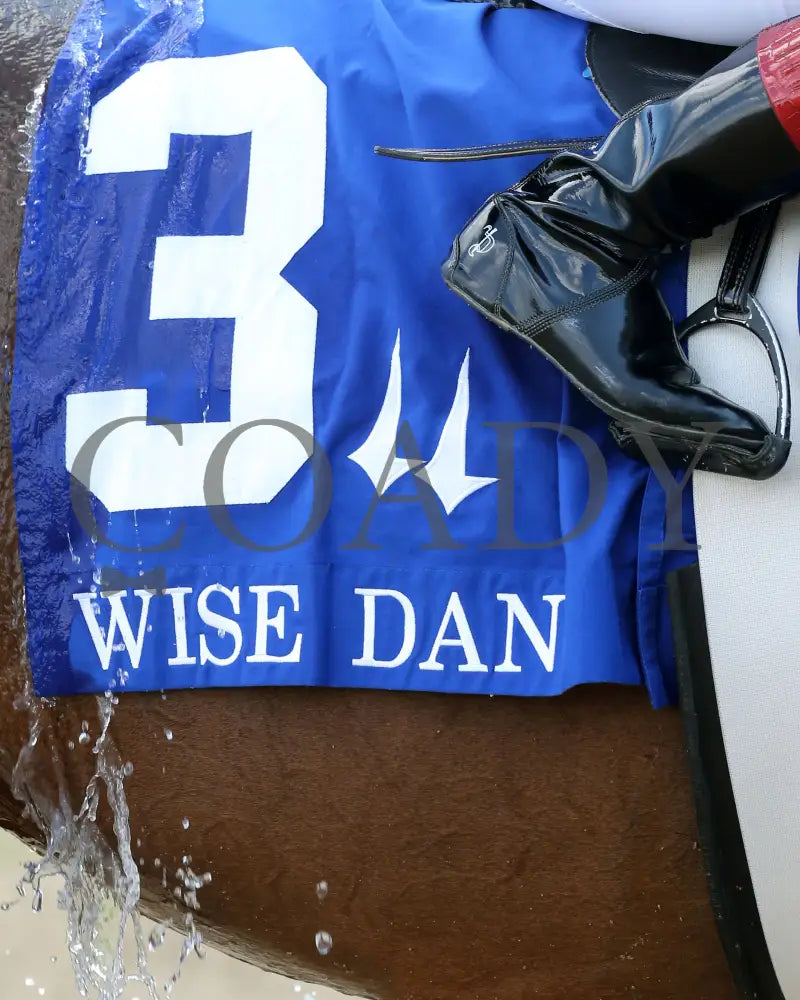 Factor This - The Wise Dan 31St Running 06-20-20 R09 Cd Post Race 04 Churchill Downs
