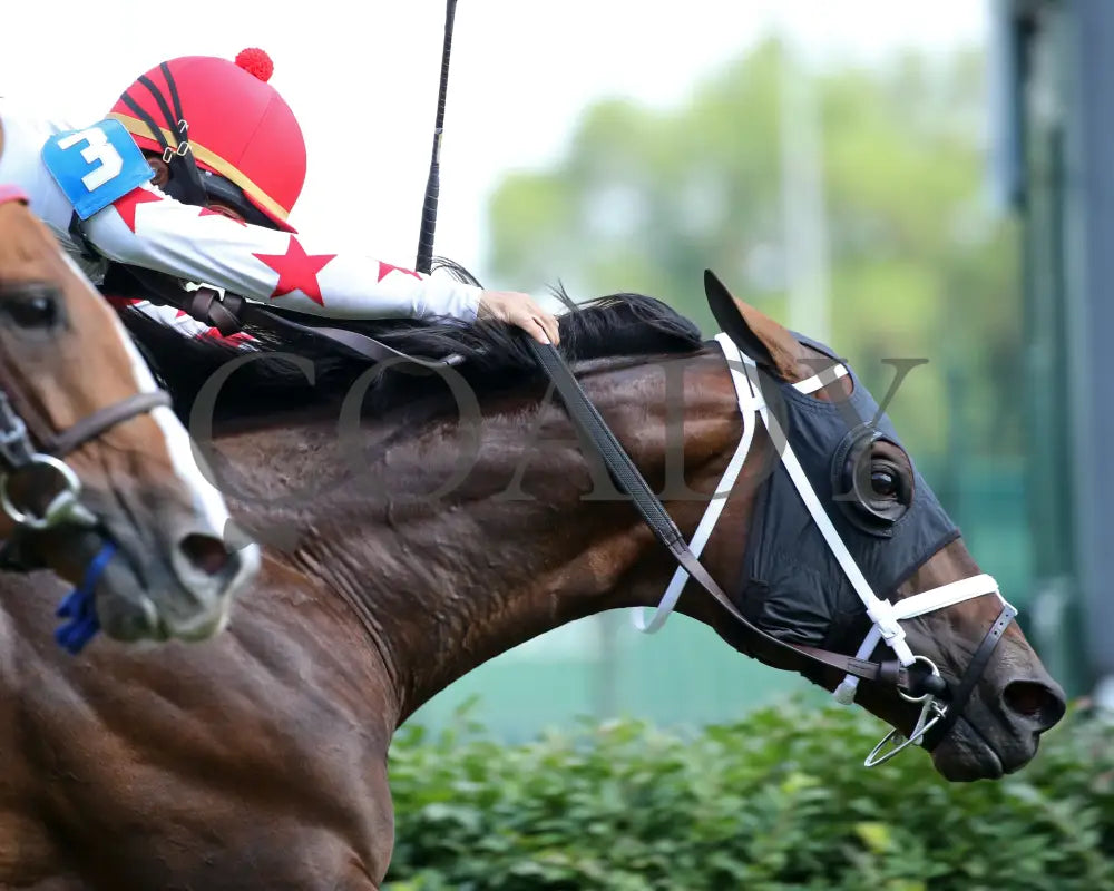 Factor This - The Wise Dan 31St Running 06-20-20 R09 Cd Tight Finish 01 Churchill Downs