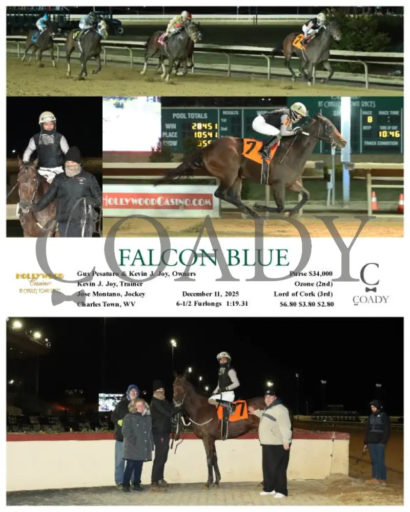FALCON BLUE - 12-11-25 - R08 - CT Hollywood Casino at Charles Town Races