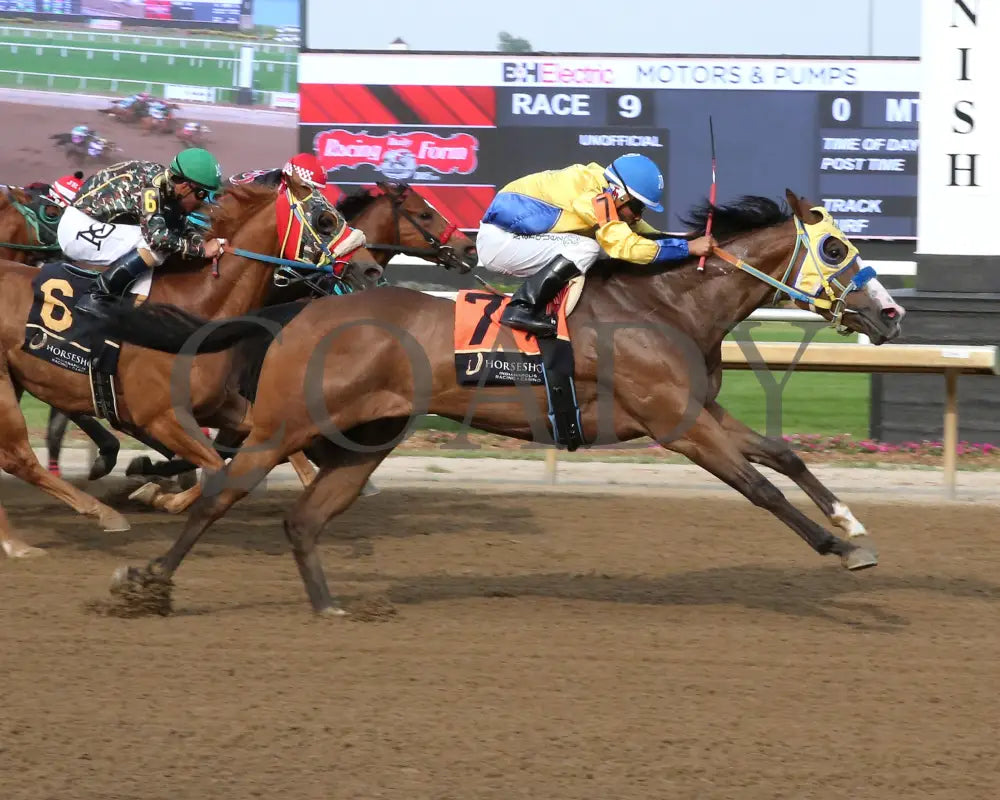 FAMOUS LOLLIPOP - Carter Riley Overnight Stakes - 06-03-25 - R09 - Horseshoe Indiana - Finish 01 - Sammantha Pagels