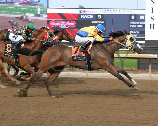 FAMOUS LOLLIPOP - Carter Riley Overnight Stakes - 06-03-25 - R09 - Horseshoe Indiana - Finish 01 - Sammantha Pagels