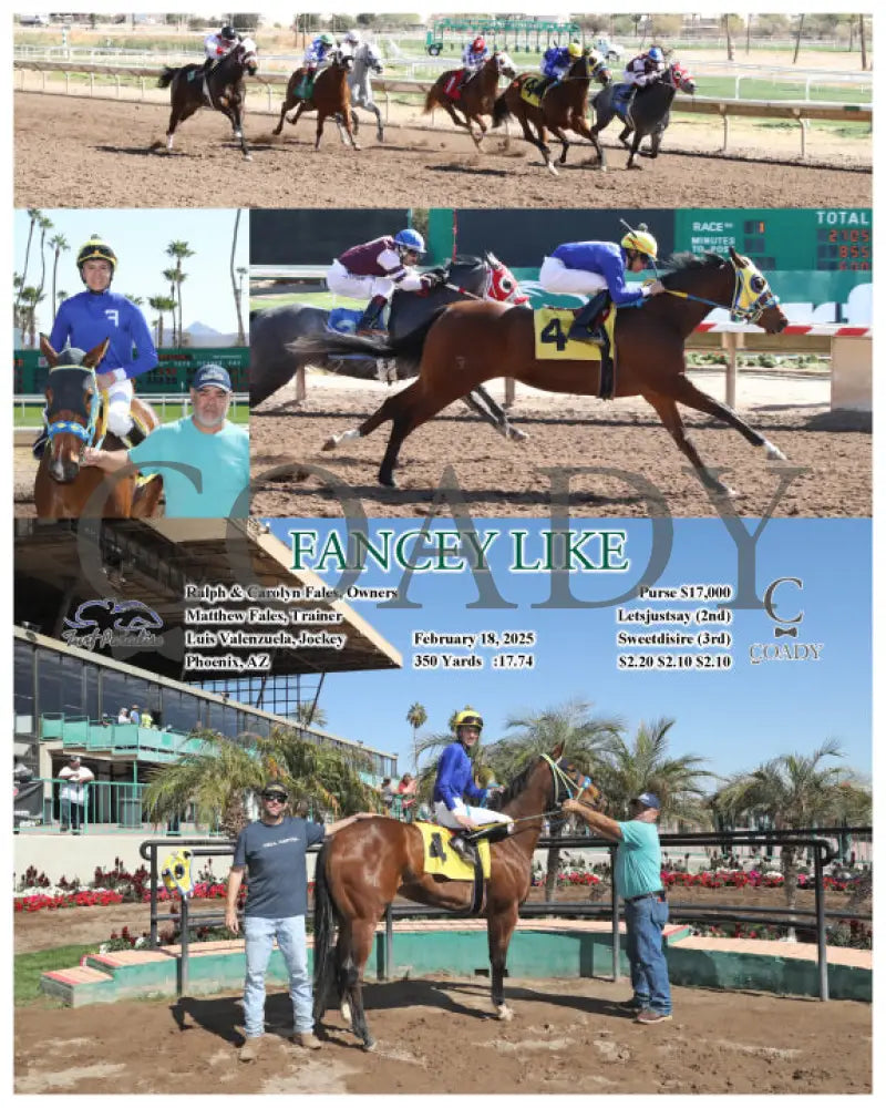 FANCEY LIKE - 02-18-25 - R01 - TUP Turf Paradise