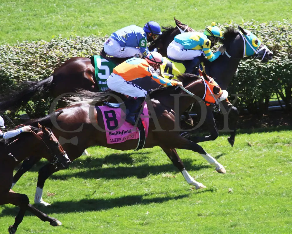 Fancy Liquor - American Turf 29Th Running 09-05-20 R08 Cd Aerial Finish 02 Churchill Downs