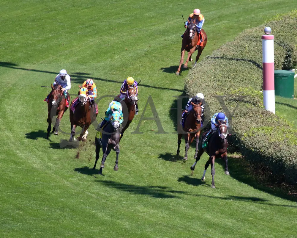 Fancy Liquor - American Turf 29Th Running 09-05-20 R08 Cd Aerial Turn 01 Churchill Downs