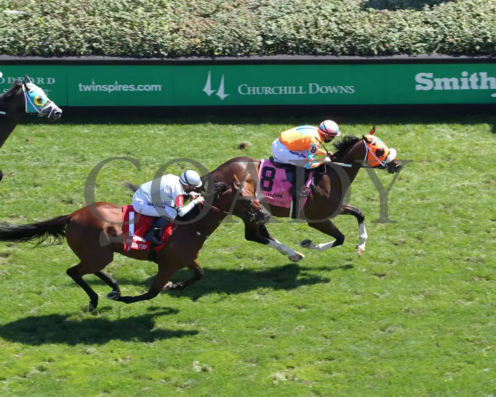 Fancy Liquor - American Turf 29Th Running 09-05-20 R08 Cd Churchill Downs