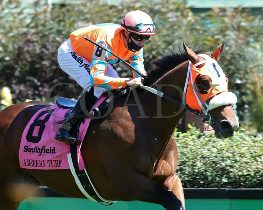 Fancy Liquor - American Turf 29Th Running 09-05-20 R08 Cd Finish 01 Churchill Downs