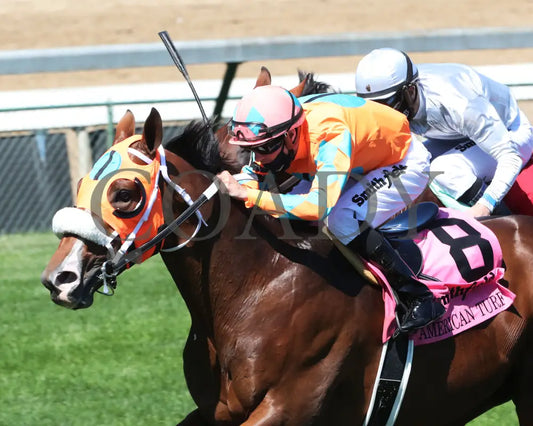 Fancy Liquor - American Turf 29Th Running 09-05-20 R08 Cd Inside Finish 03 Churchill Downs