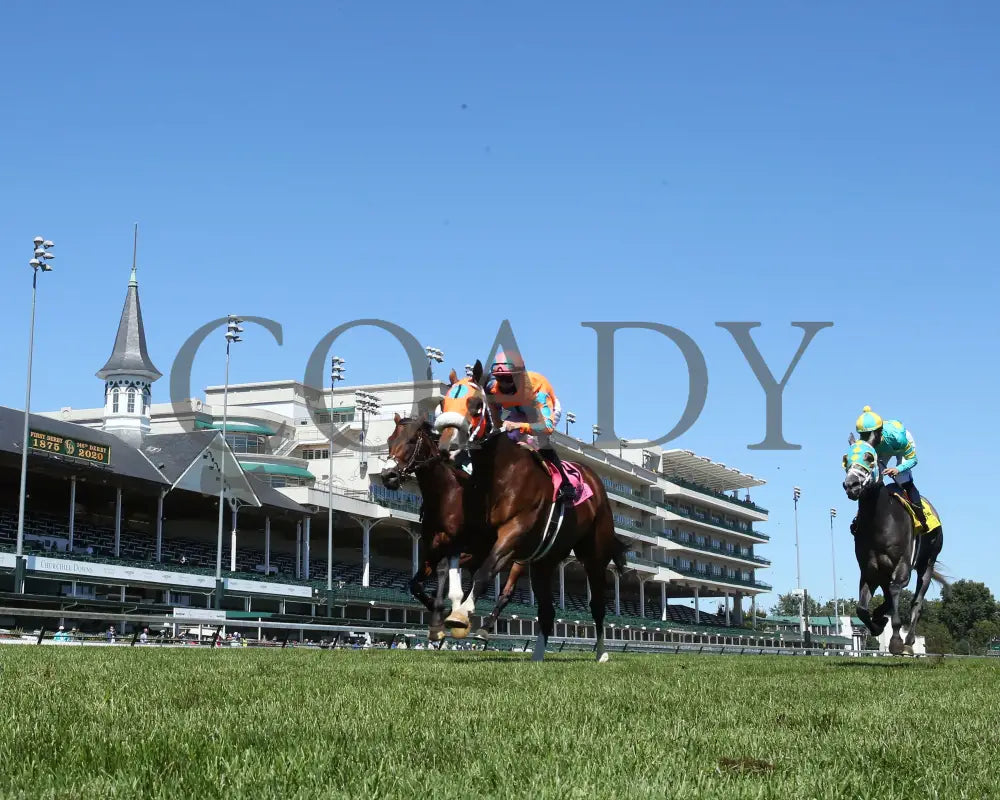 Fancy Liquor - American Turf 29Th Running 09-05-20 R08 Cd Under Rail 02 Churchill Downs