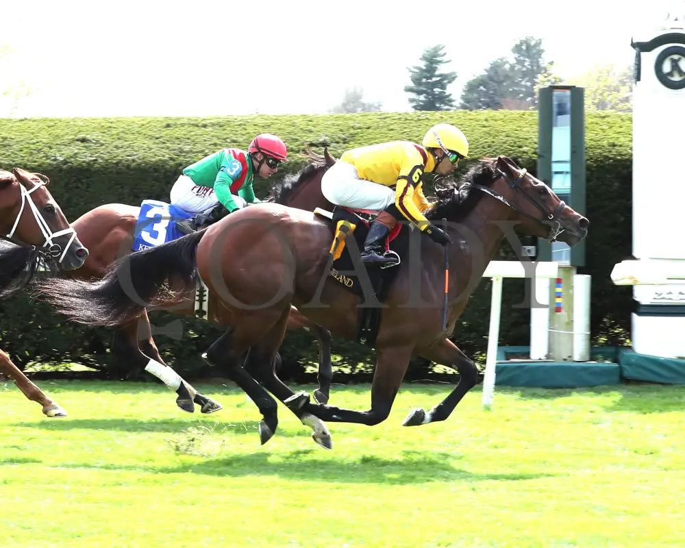 Fandom - The Palisades 04 - 07 - 24 R07 Kee Finish 01 Keeneland