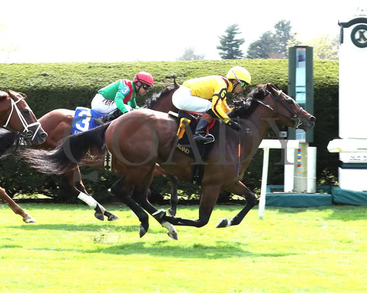 Fandom - The Palisades 04 - 07 - 24 R07 Kee Finish 01 Keeneland