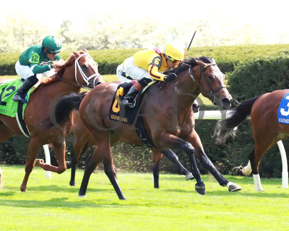 Fandom - The Palisades 04 - 07 - 24 R07 Kee Finish 02 Keeneland