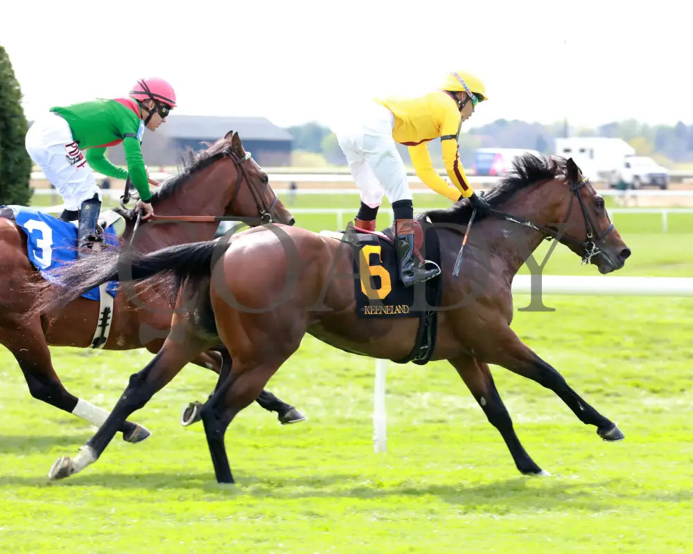 Fandom - The Palisades 04 - 07 - 24 R07 Kee Gallop Out 01 Keeneland