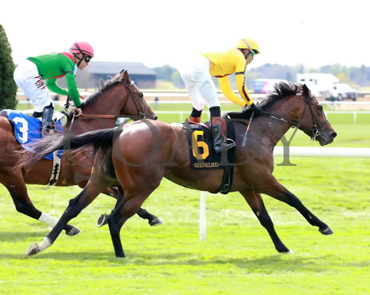 Fandom - The Palisades 04 - 07 - 24 R07 Kee Gallop Out 01 Keeneland