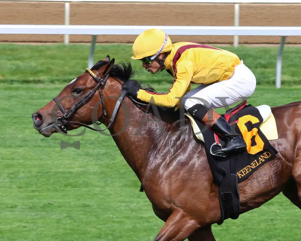 Fandom - The Palisades 04 - 07 - 24 R07 Kee Inside Finish 01 Keeneland