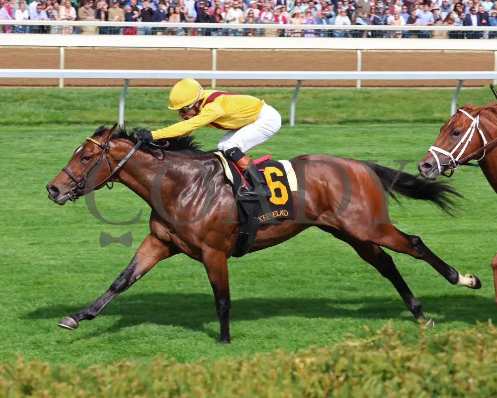 Fandom - The Palisades 04 - 07 - 24 R07 Kee Inside Finish 02 Keeneland