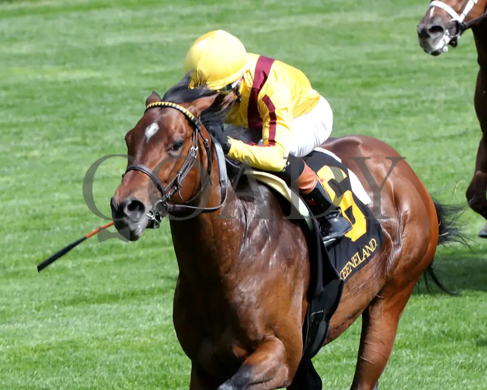 Fandom - The Palisades 04 - 07 - 24 R07 Kee Inside Finish 03 Keeneland